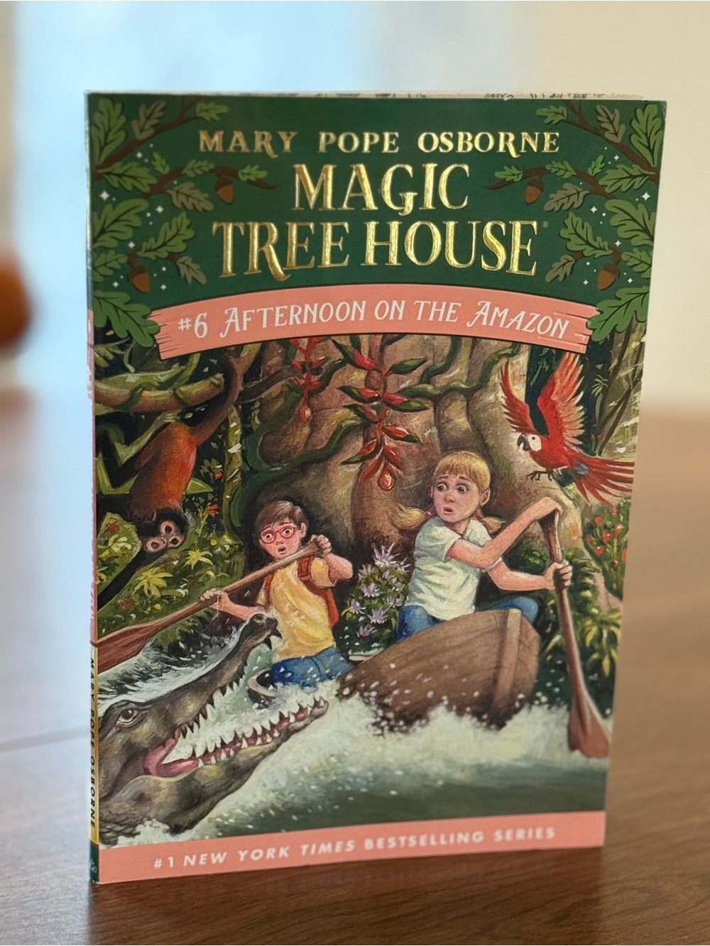 Magic Tree House #6: Afternoon on the Amazon Children's Chapter